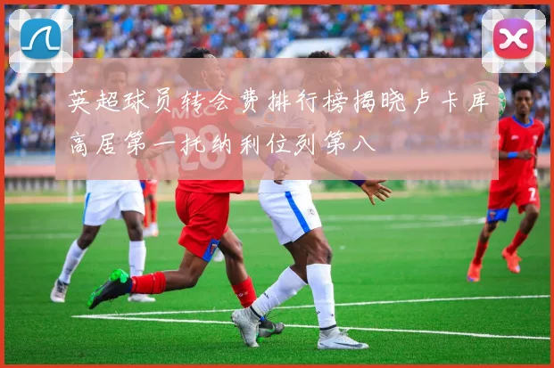 英超球员转会费排行榜揭晓卢卡库高居第一托纳利位列第八