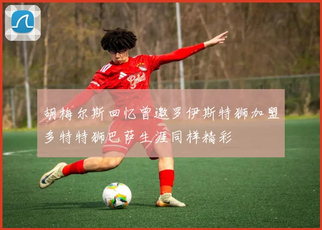 胡梅尔斯回忆曾邀罗伊斯特狮加盟多特特狮巴萨生涯同样精彩