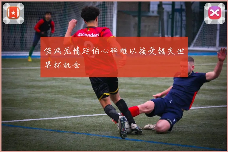 伤病无情廷伯心碎难以接受错失世界杯机会