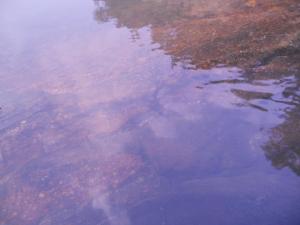 578961_2489242167102_612604814_n[1]